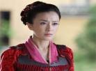 大唐女将樊梨花杨藩